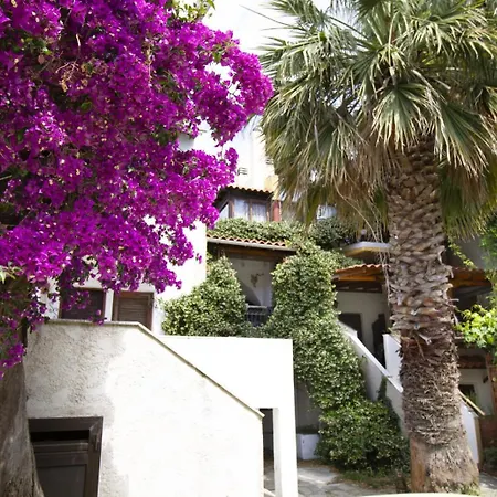 Appartement Central Treehouse By Rentalspro - Halkidiki Nikiti (Sithonia)